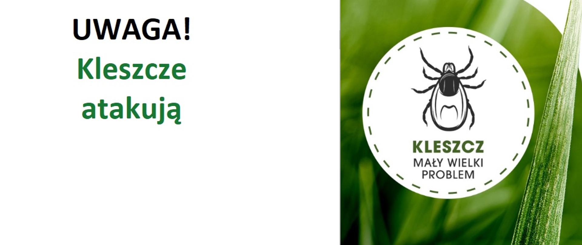 Uwaga! kleszcze atakują