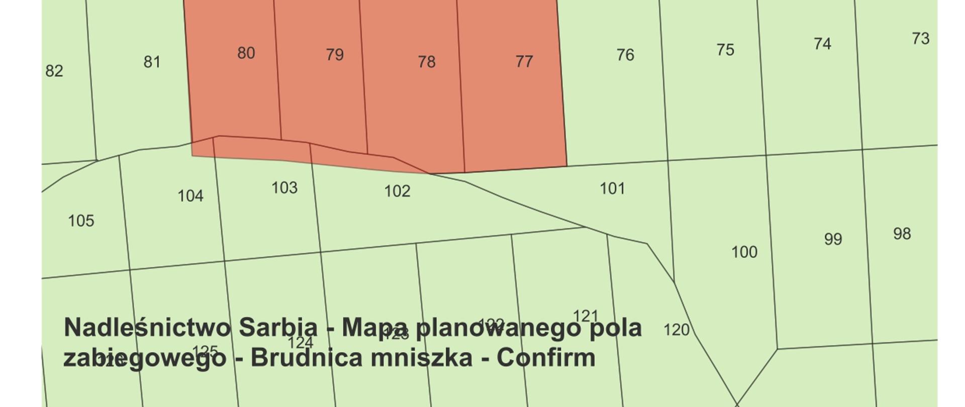 Nadleśnictwo Sarbia-mapa planowanego pola zabiegowego