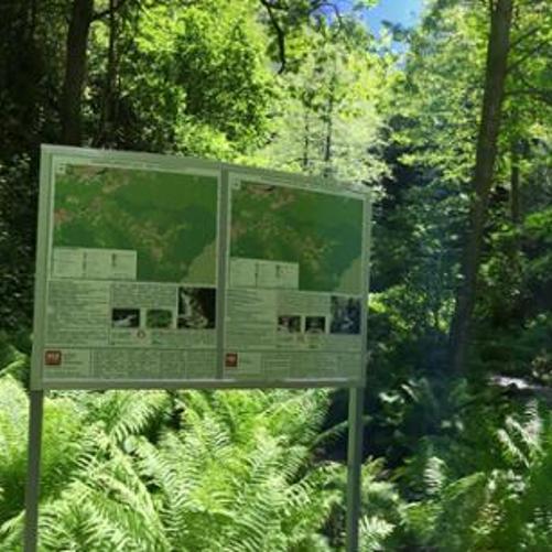 Tourism in Ajara - implementation of the Regional Development Strategy of the Autonomous Republic of Ajara elements