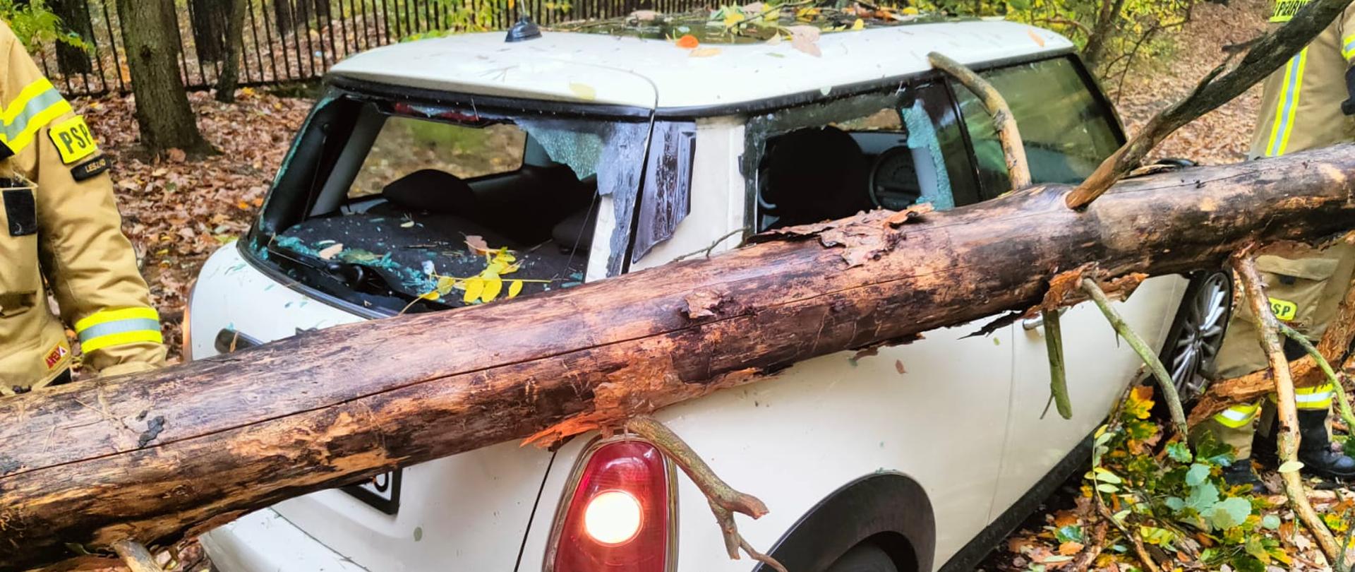 Samochód osobowy stoi na drodze przywalony drzewem.