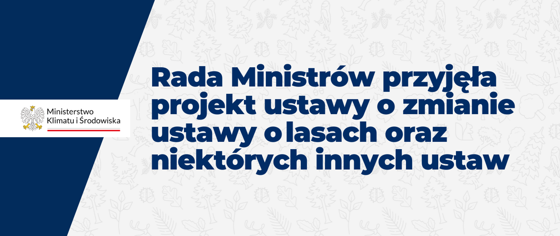 Rada Ministrów przyjęła projekt ustawy o zmianie ustawy o lasach oraz niektórych innych ustaw