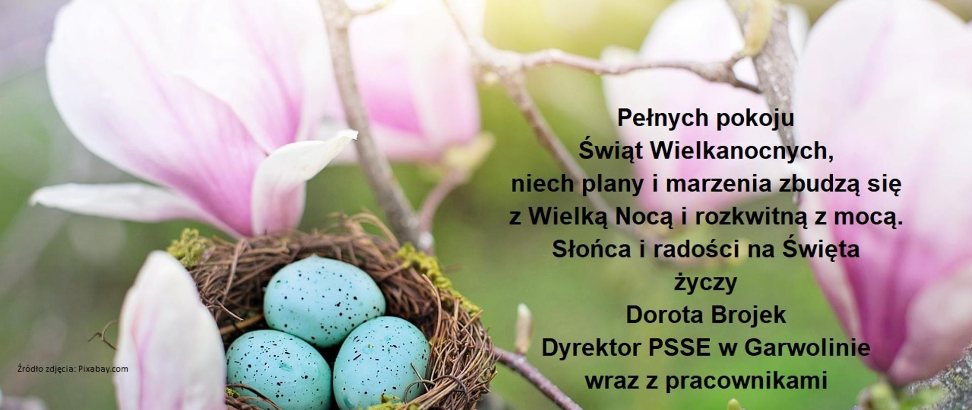 Kartka świąteczna: w gałązkach z rozkwitniętymi różowymi kwiatami i pąkami magnolii gniazdo z trzema niebieskimi jajami. Życzenia: Pełnych pokoju Świąt Wielkanocnych, niech plany i marzenia zbudzą się z Wielką Nocą i rozkwitną z mocą. Słońca i radości na Święta życzy Dorota Brojek Dyrektor PSSE w Garwolinie wraz z pracownikami 