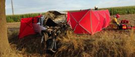 Tragedia na drodze. Na zdjęciu widać rozbity samochód, który stoi na polu obok drzewa, obok niego stoi parawan, strażacy prowadzą działania, w tle kukurydza 