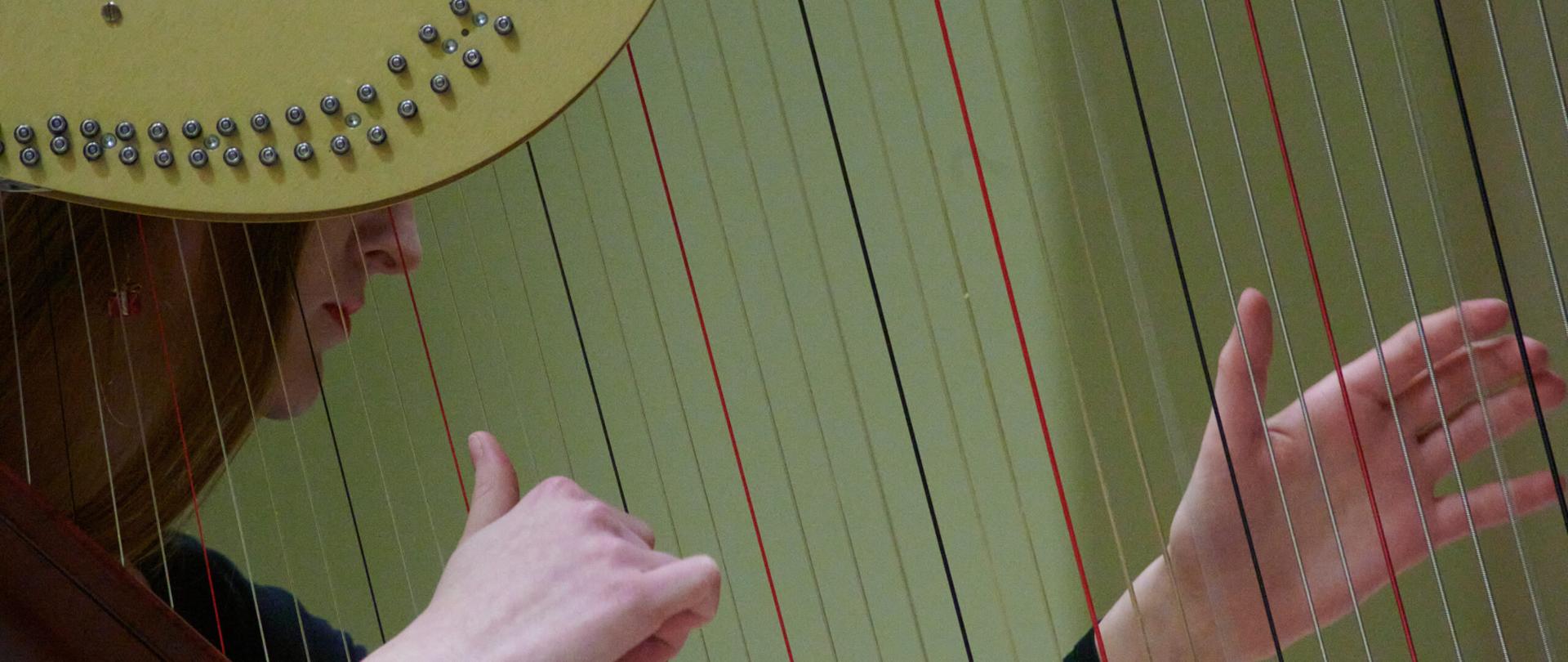 Sekcja Instrumentów Smyczkowych, Gitary i Harfy