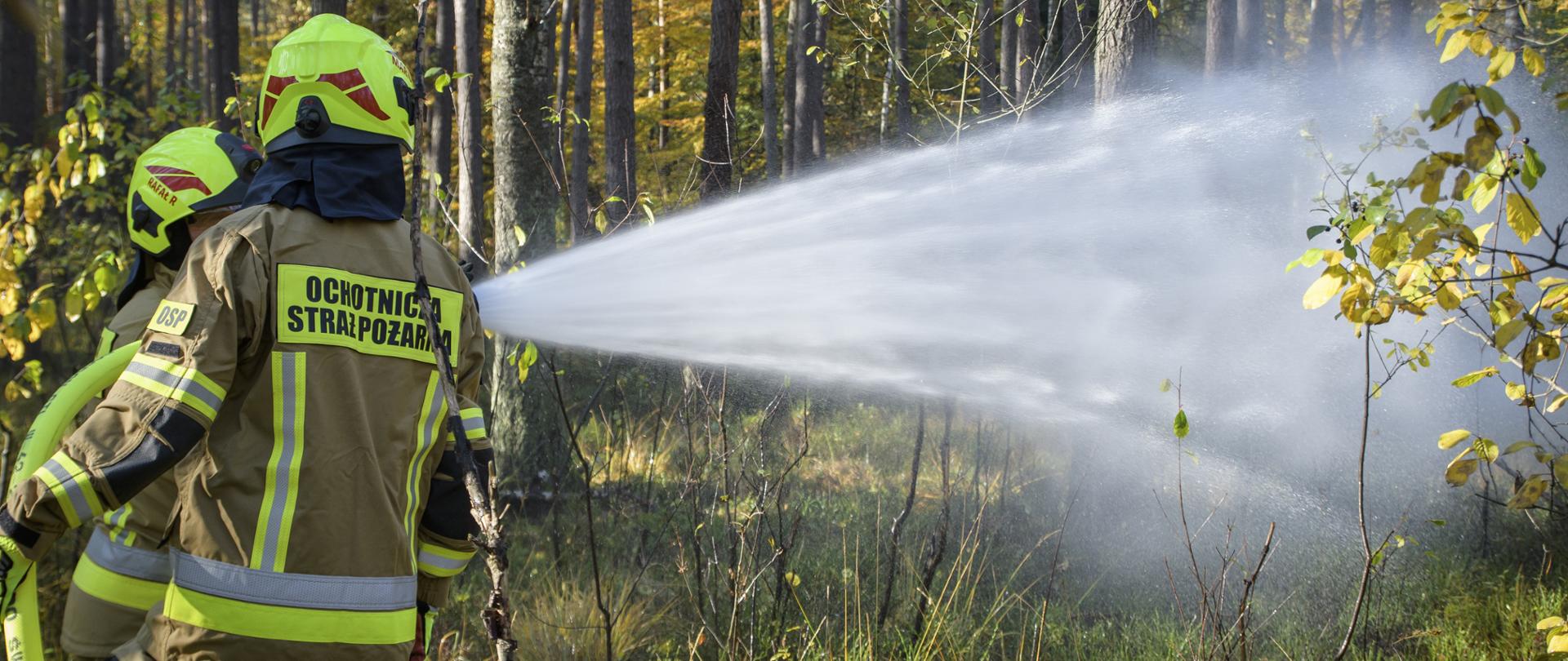 Na zdjęciu widać strażaków ochotniczej straży pożarnej podczas akcji gaśniczej w lesie