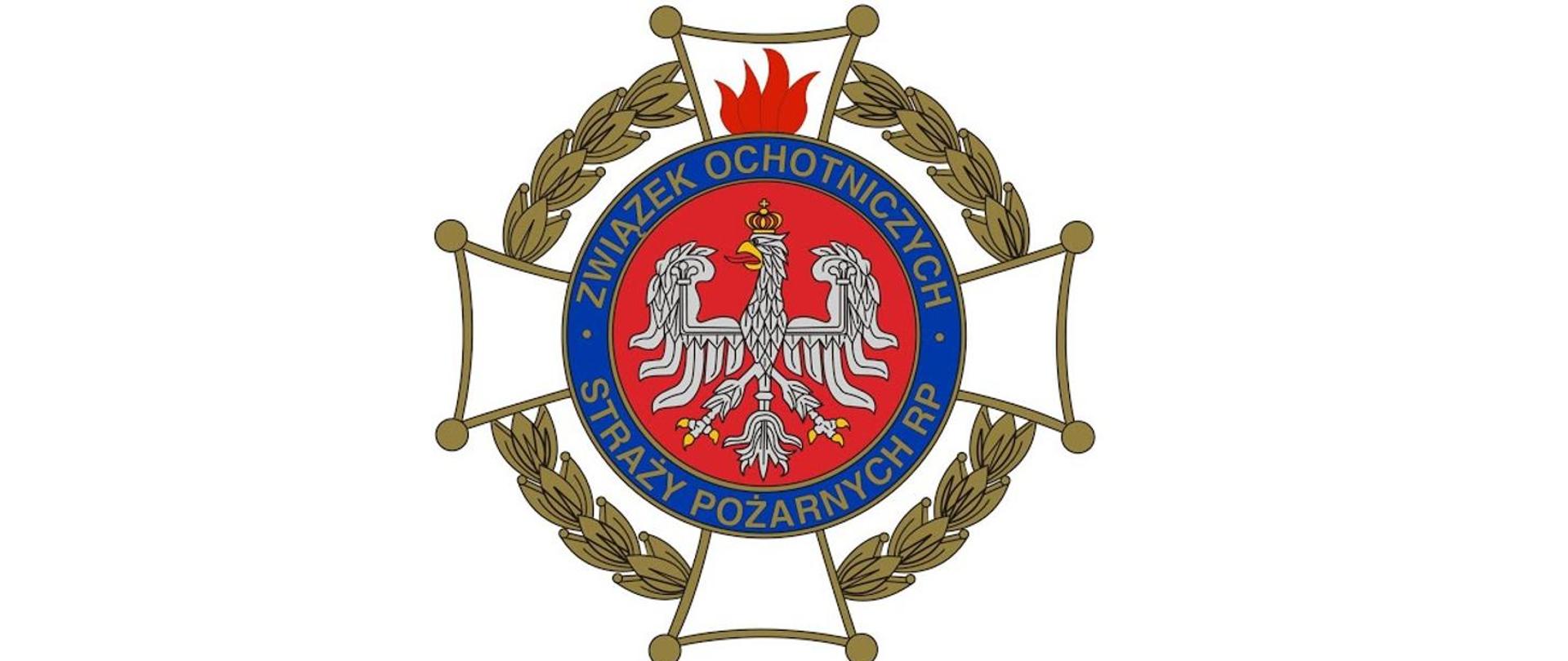 Logo ZOSP RP