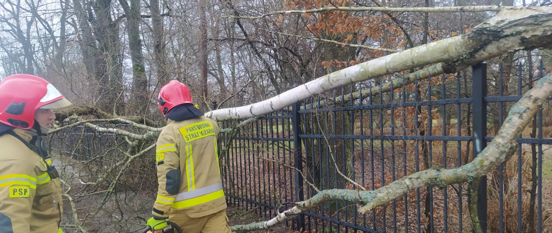 Na zdjęciu widnieją działania strażaków w trakcie usuwania skutków wichur jakie przeszły nad powiatem pilskim. Jest dzień, jasno, wietrznie. 