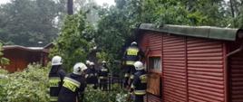Usuwanie skutków frontu burzowego na terenie powiatu mogileńskiego