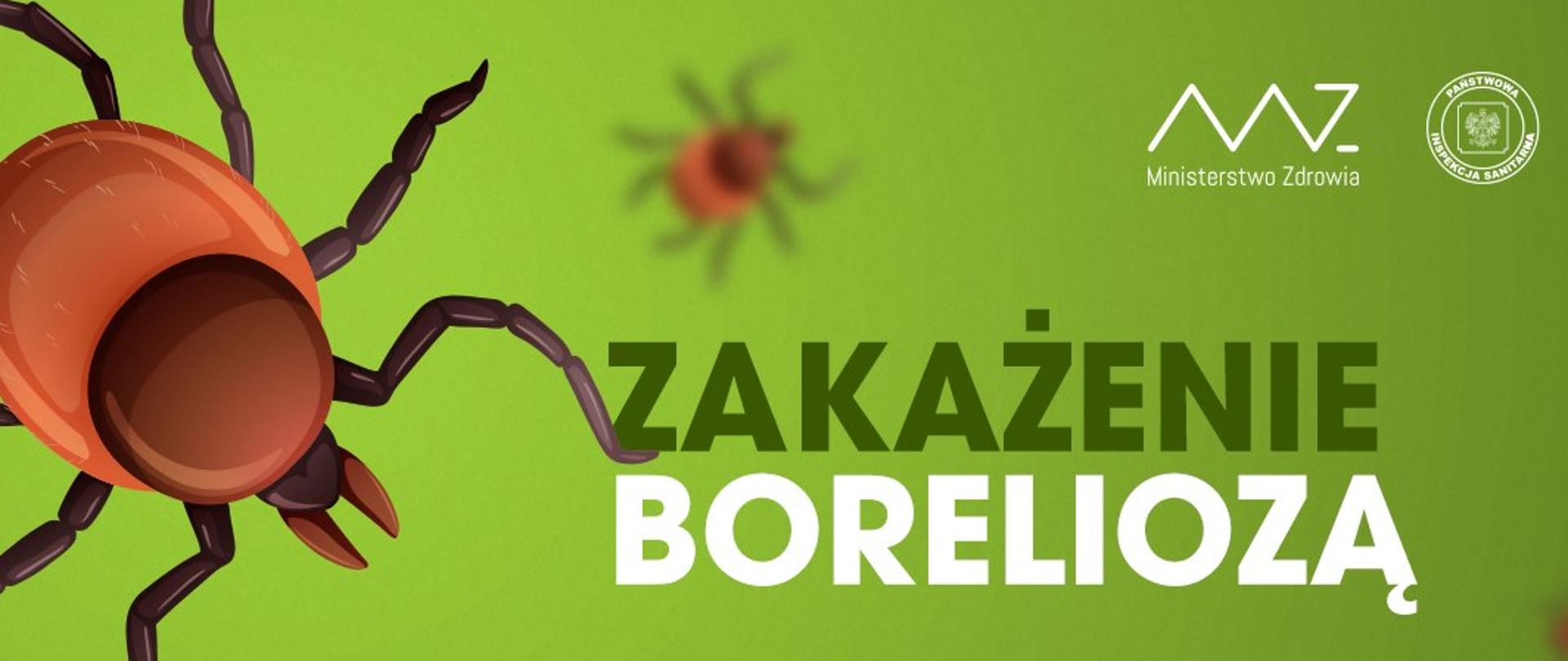 Grafika kleszcza na zielonym tle.