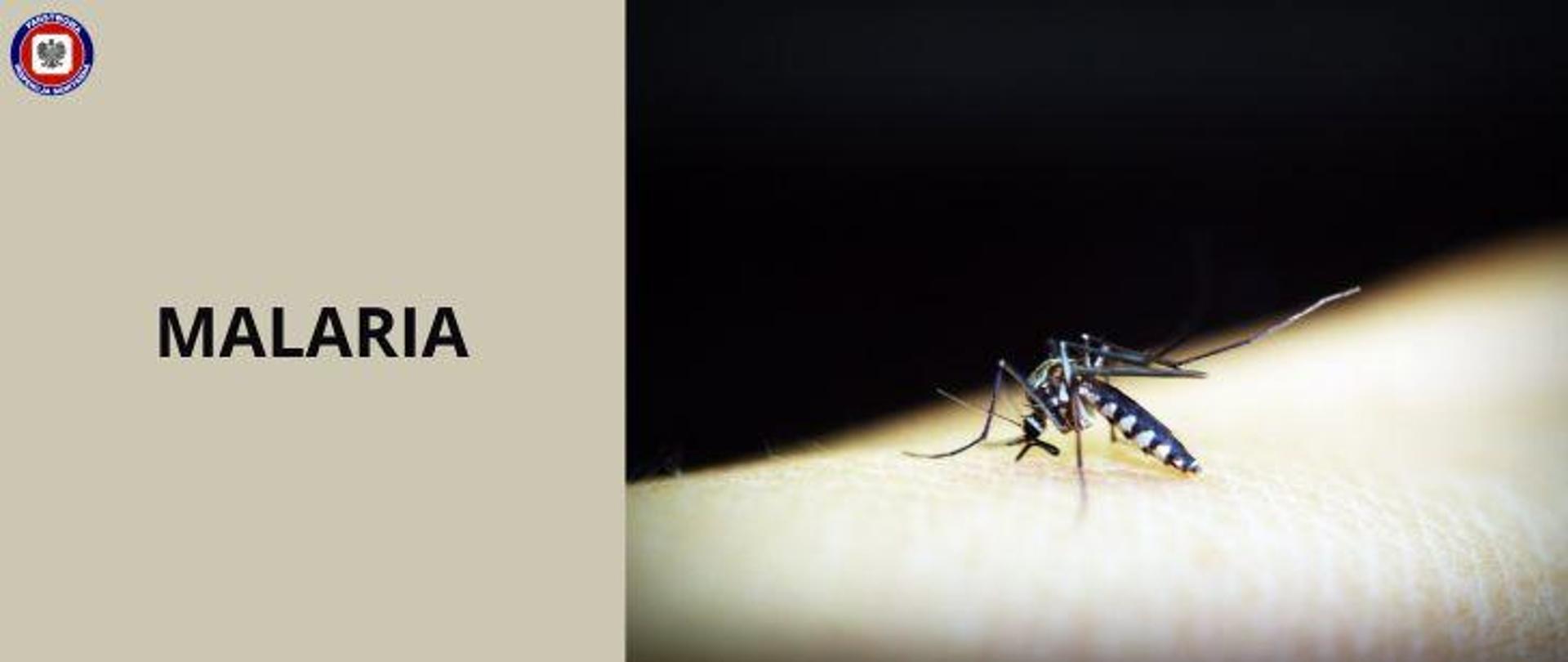 Po prawej komar siedzący na skórze, po lewej , na beżowym tle ciemny napis malaria. W lewym górnym rogu logo Państwowej Inspekcji Sanitarnej.