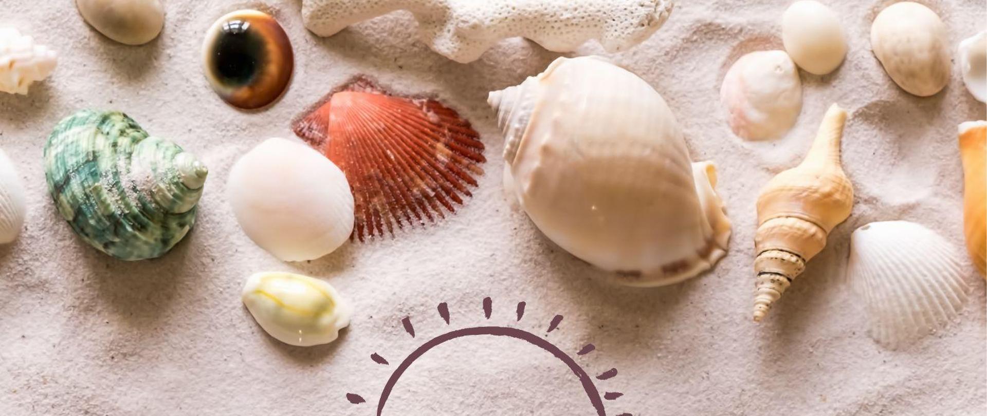 Plakat z muszelkami w piasku na górze i na dole. W środku następujący tekst:drodzy uczniowie, rodzice i nauczyciele, dziękujemy Wam za wspólnie spędzony rok i życzymy, byście w tych letnich, wakacyjnych miesiącach znaleźli chwilę na rodzinny wypoczynek, ulubioną aktywność oraz realizowanie marzeń. Bezpiecznych i niezapomnianych wakacji. Dyrekcja 