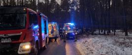Na zdjęciu widoczne są pojazdy służb ratunkowych. W oddali widoczny samochód marki peugeot, który uderzył w przydrożne drzewo.