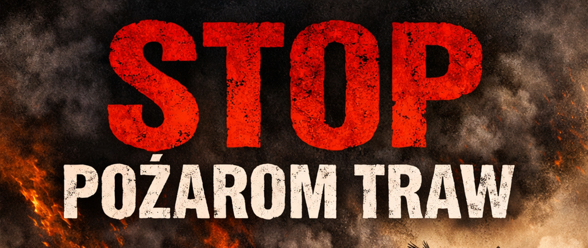 Stop pożarom traw - plakat