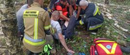 Zdjęcie wykonane w dzień, w lesie. Przedstawia moment opatrywania nogi dla osoby poszkodowanej.Osoba ta leży na ziemi w lesie. Dokoła niej strażacy i ratownicy. Wszyscy wspólnie udzielają pomocy. Widać na zdjęciu presję pomocy i szybkiego transportu do szpitala.