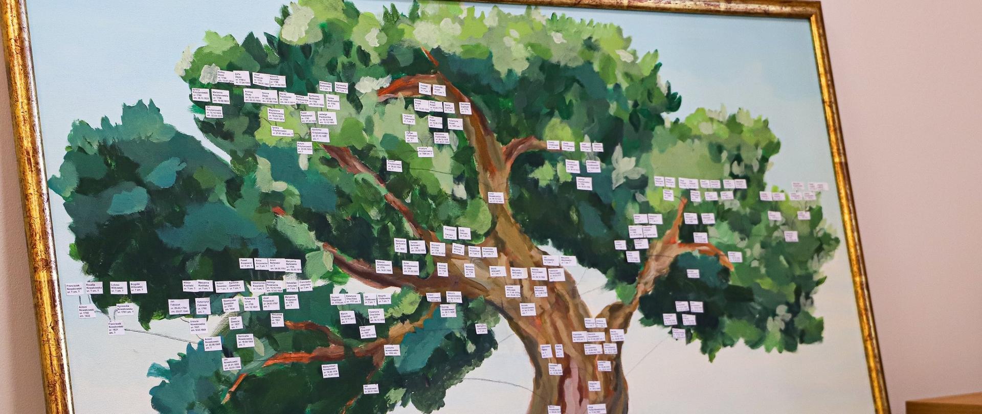 Obraz drzewa genealogicznego stworzonego przez uczestnika konkursu.