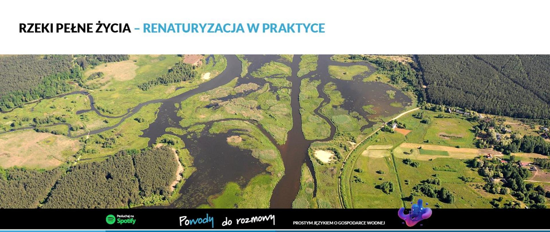 Rzeki pełne życia - renaturyzacja w praktyce