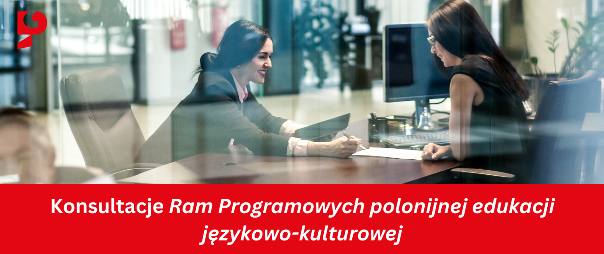 Konsultacje Ram Programowych