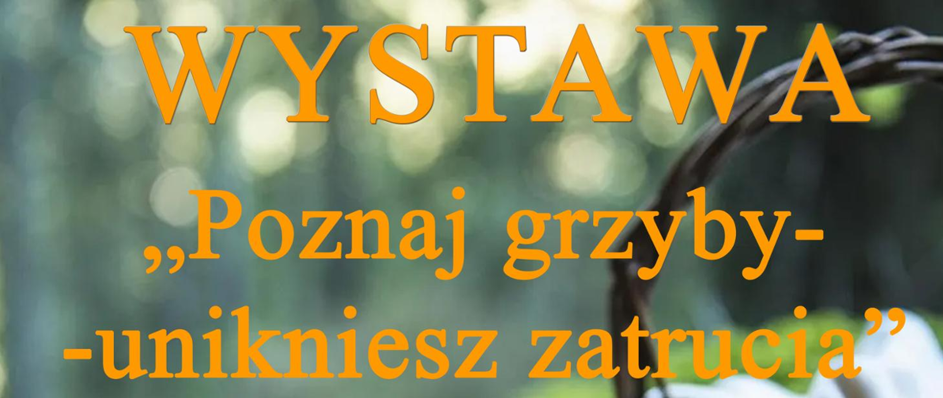 Wystawa Poznaj grzyby - unikniesz zatrucia