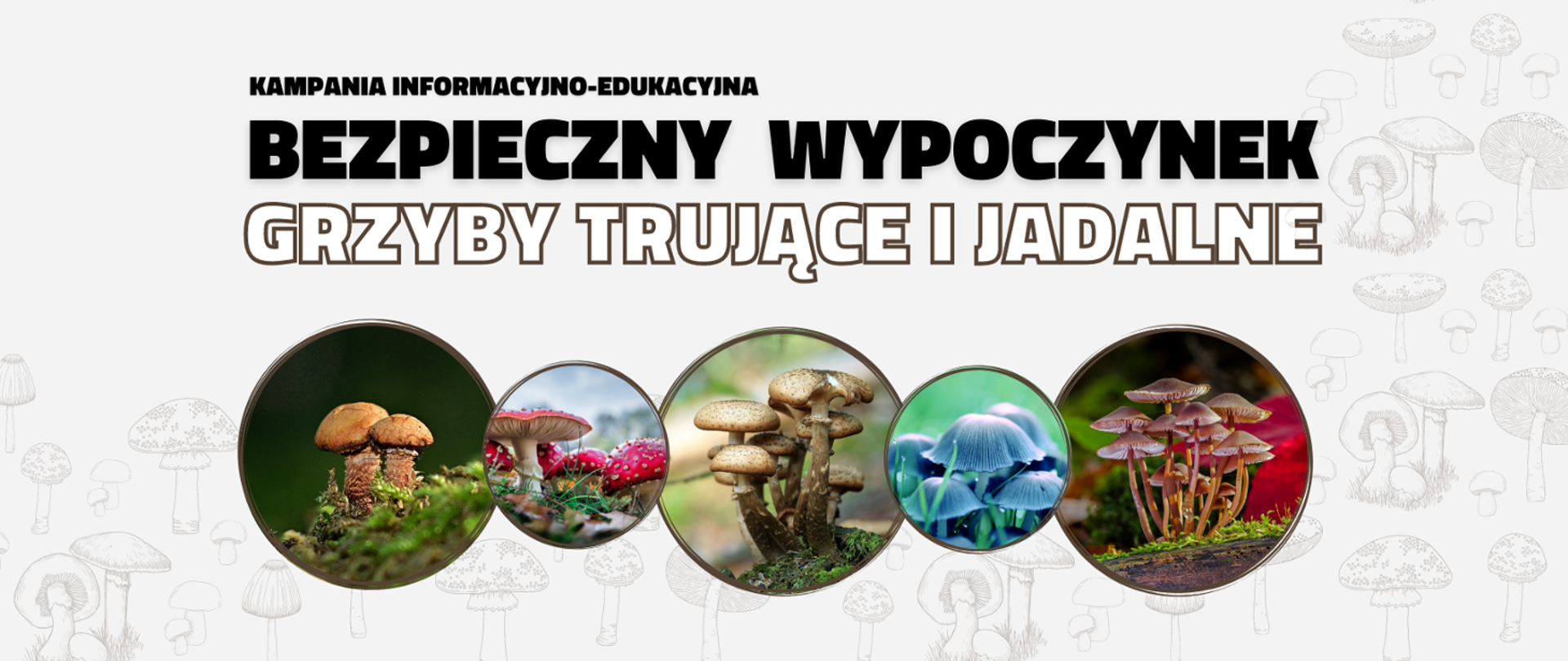 Na jasnym tle u góry napis Kampania informacyjno-edukacyjna Bezpieczny wypoczynek. Grzyby trujące i jadalne. Poniżej 5 kółek, w każdym zdjęcie grzybów.