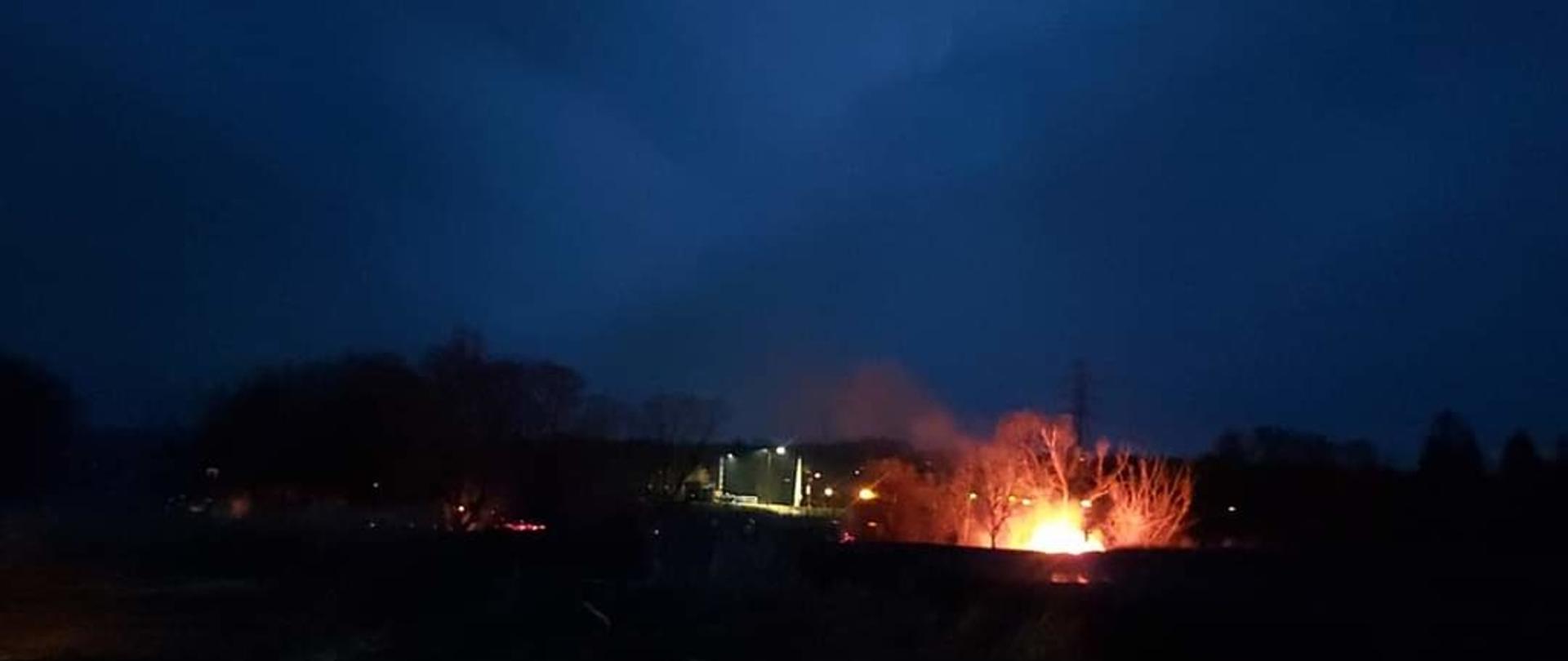 Na zdjęciu widoczny pożar traw w porze nocnej oraz w oddali samochody pożarnicze i strażacy gaszący pożar. 