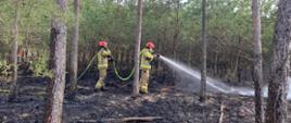 Pożar lasu