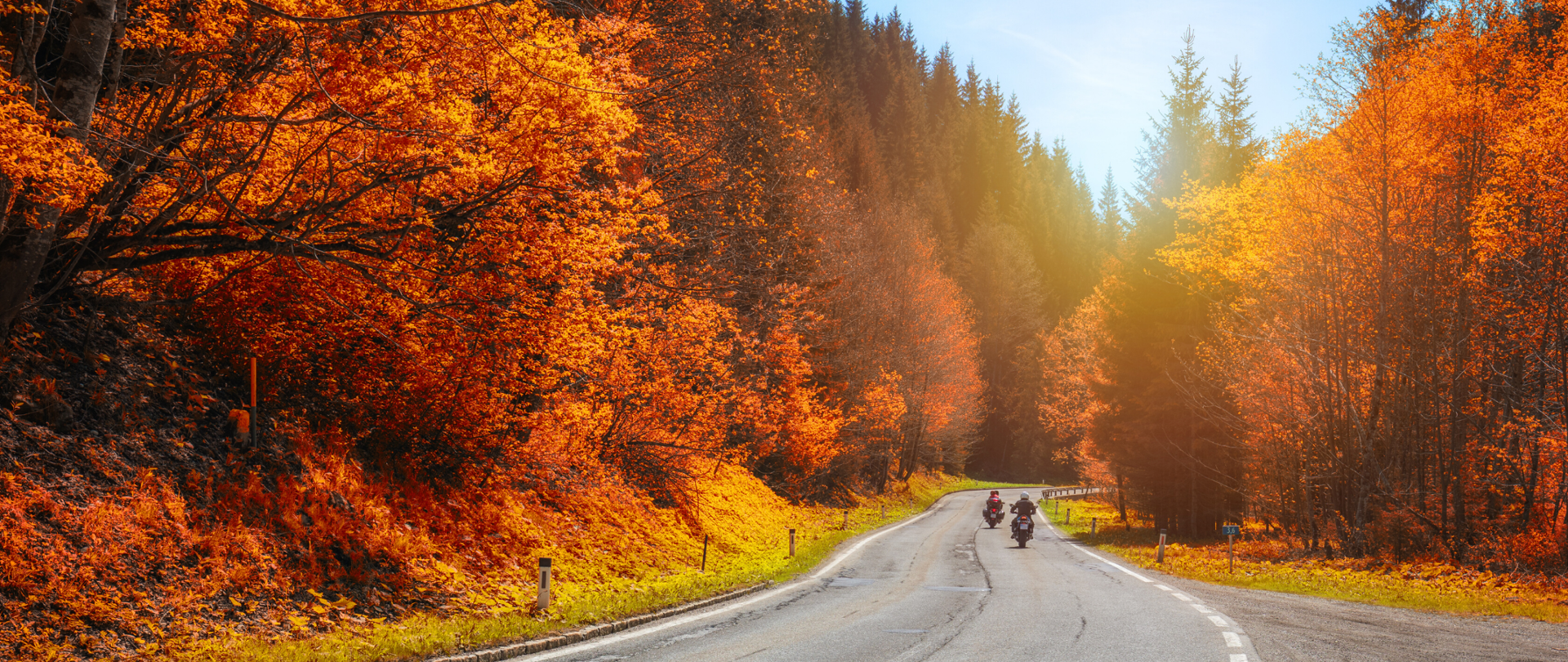 Droga przez las jesienią, a na niej dwaj motocykliści