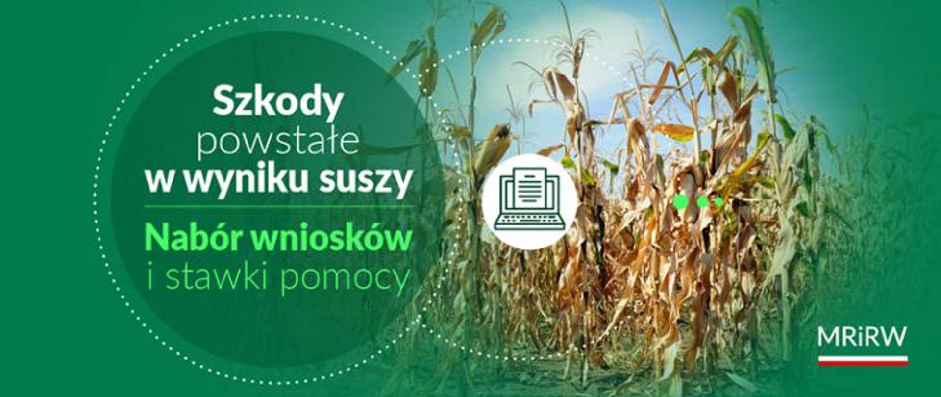 szkody_powstałe_w_wyniku_suszy