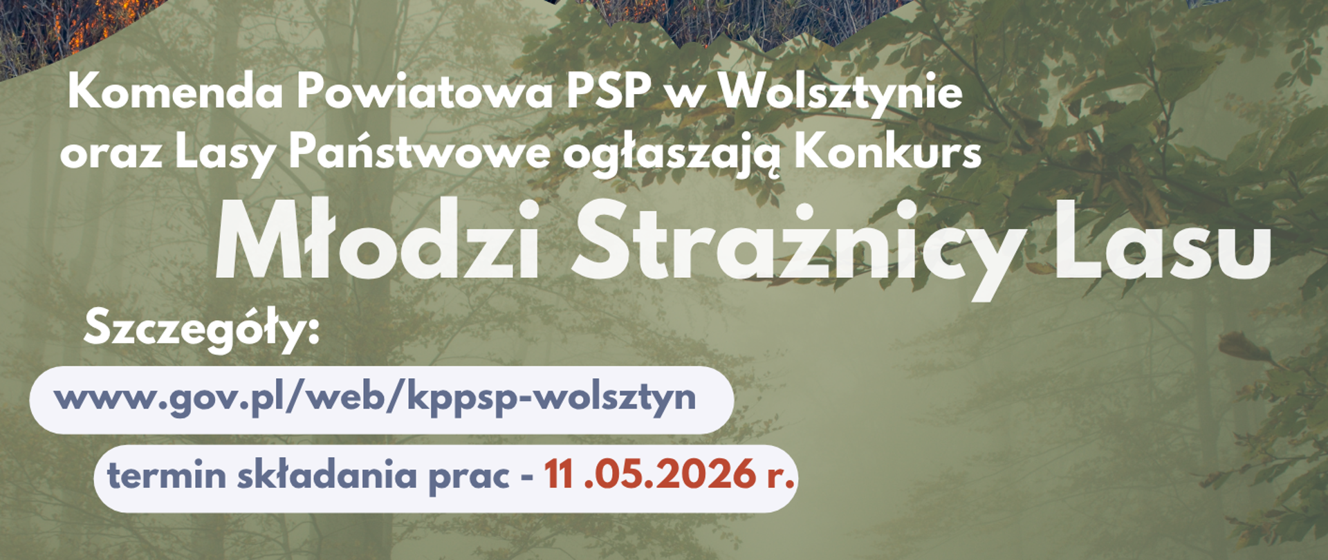 Konkurs "Młodzi Strażnicy Lasu"