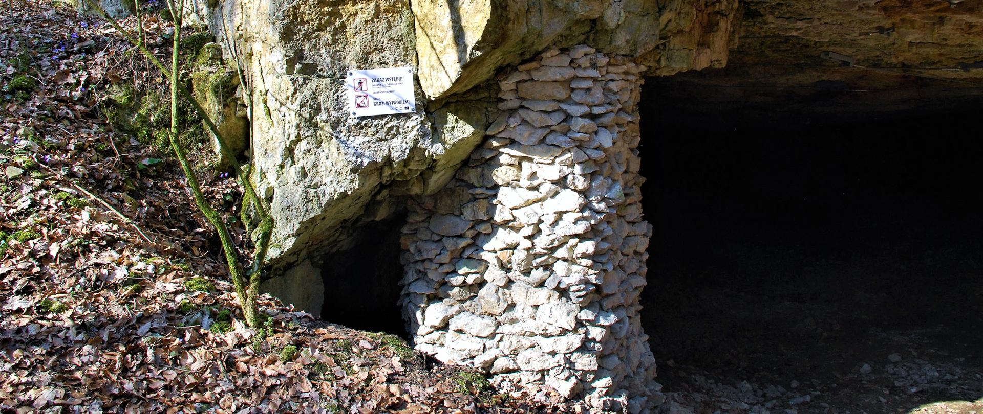 Wejście do jaskini w rezerwacie