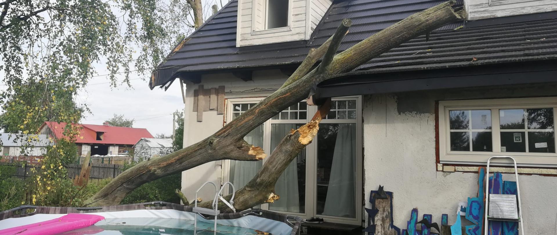 Na dom przewróciło się drzewo.
