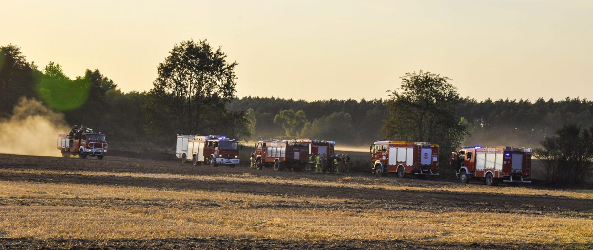 Pożar ścierniska na polu w pobliżu miejscowości Borkowice - zdjęcie przedstawia ściernisko po zakończonych działaniach gaśniczych, w tle ustawione są samochody gaśnicze 