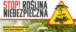 Grafika zawiera ostrzeżenia przed kontaktem z omawianą rośliną. W tle zdjęcie tej rośliny.