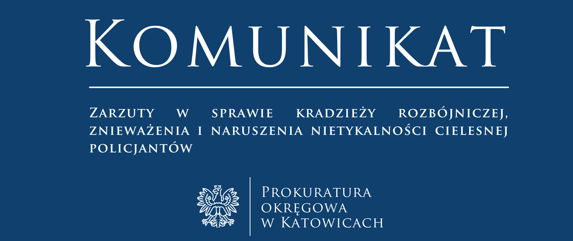 Zarzuty w sprawie kradzieży rozbójniczej, znieważenia i naruszenia nietykalności cielesnej policjantów 