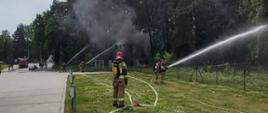Na zdjęciu strażacy podają wodę na zagrożony pożarem las
