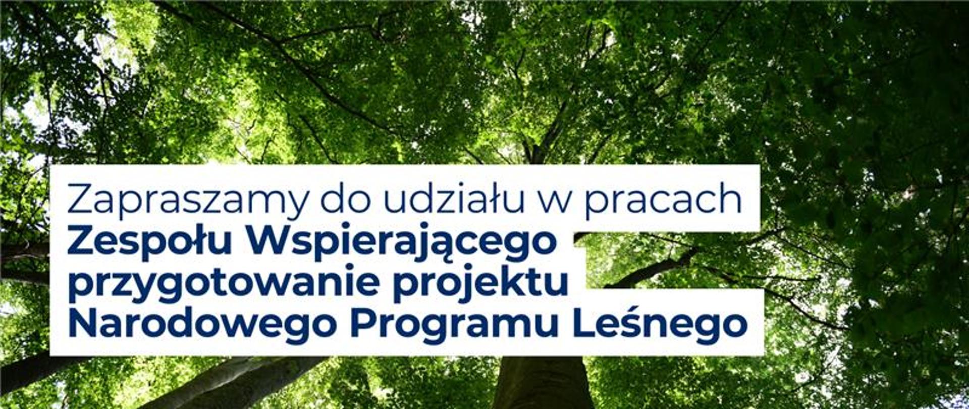 Na grafice widnieje zdjęcie z koronami drzew oraz napis "Zapraszamy do udziału w pracach Zespołu Wspierającego przygotowanie projektu Narodowego Programu Leśnego".