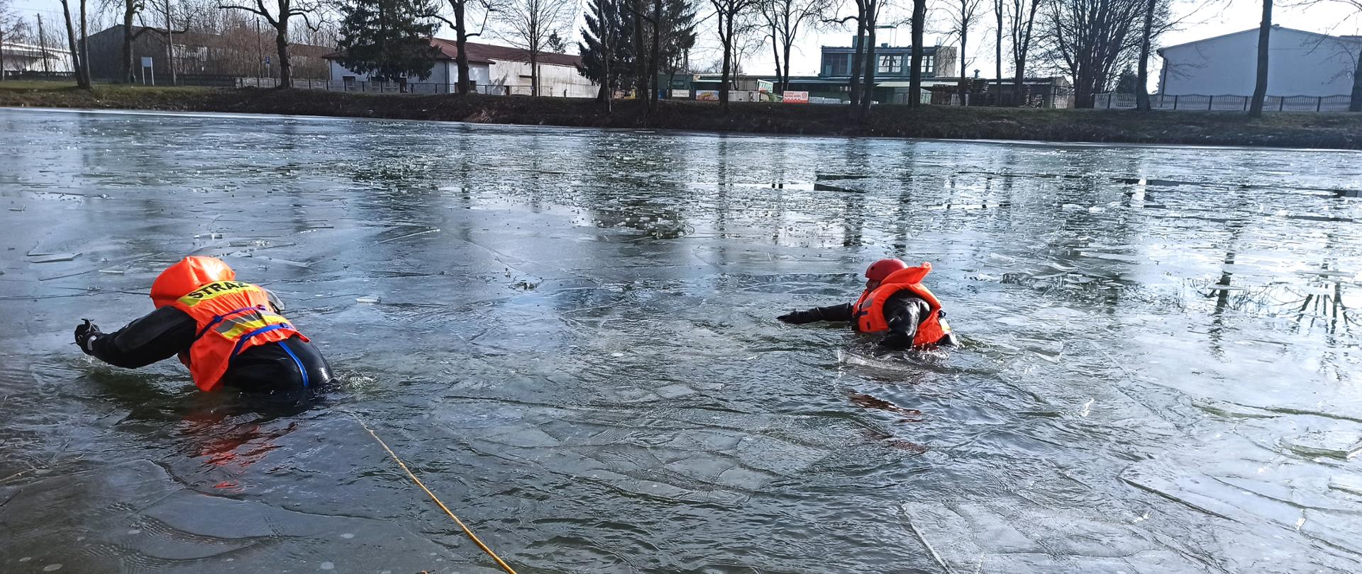 Zdjęcie przedstawia dwóch strażaków podczas ćwiczeń ratowniczych na zamarzniętej powierzchni wody, prawdopodobnie jeziora lub stawu. Obaj strażacy ubrani są w specjalistyczne kombinezony do ratownictwa wodnego oraz pomarańczowe kamizelki ratunkowe z napisem "STRAŻ" na plecach. Strażak po lewej stronie znajduje się bliżej brzegu i wspiera się rękoma na lodzie, podczas gdy jego nogi są zanurzone w wodzie. Strażak po prawej stronie jest dalej od brzegu, zanurzony głębiej w wodzie, również opierając się na lodzie. Pomiędzy nimi rozciąga się pomarańczowa lina ratownicza. Powierzchnia wody jest częściowo pokryta połamany, cienkim lodem. W tle widoczne są nagie drzewa i budynki, co wskazuje na chłodniejszą porę roku. Scena ma charakter szkoleniowy, przygotowujący strażaków do działań na zamarzniętych akwenach.