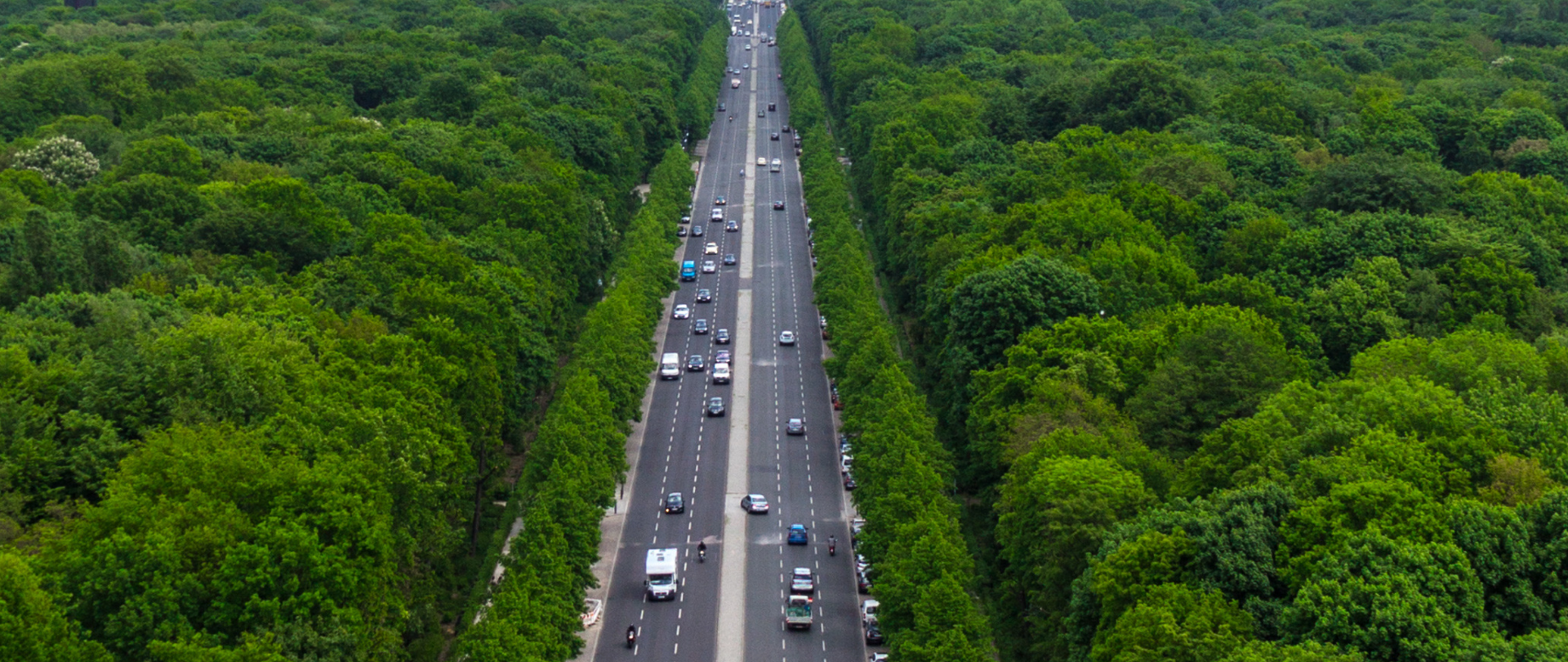 Droga dwupasmowa przez las a na niej dużo samochodów.