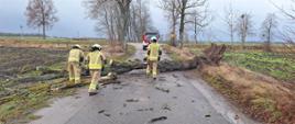 Podsumowanie interwencji strażaków podczas usuwania skutków silnych wiatrów