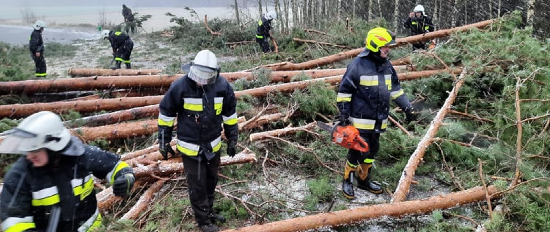 usuwanie powalonych drzew z drogi powiatowej przez strażaków