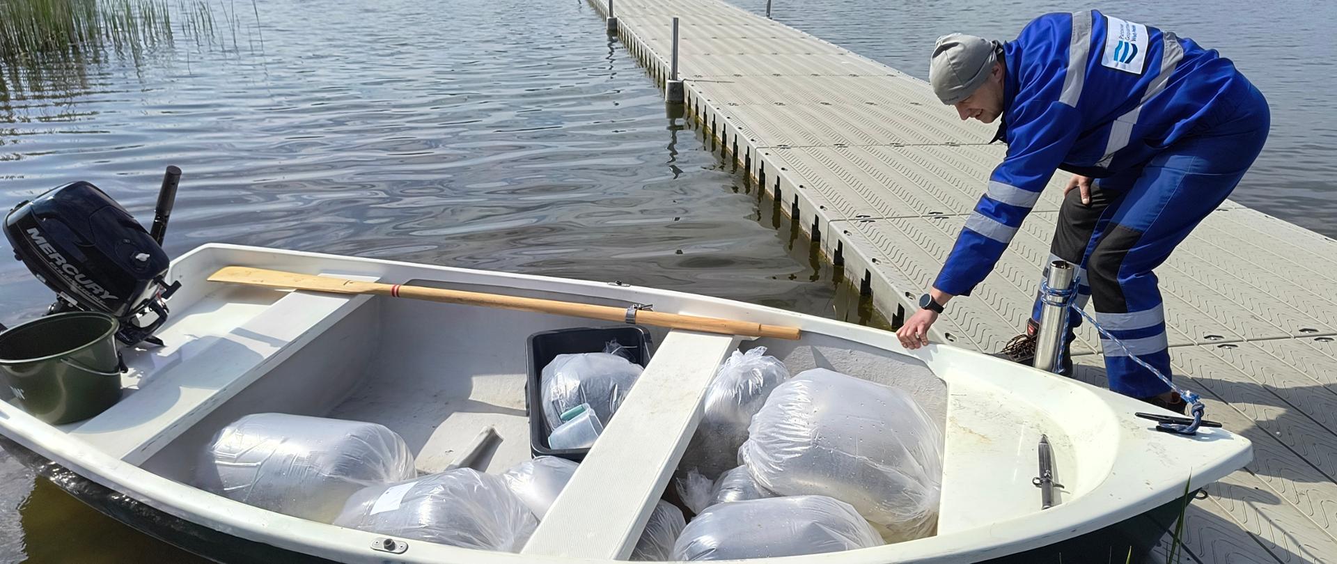 Zarybienia wiosenne - szczupak