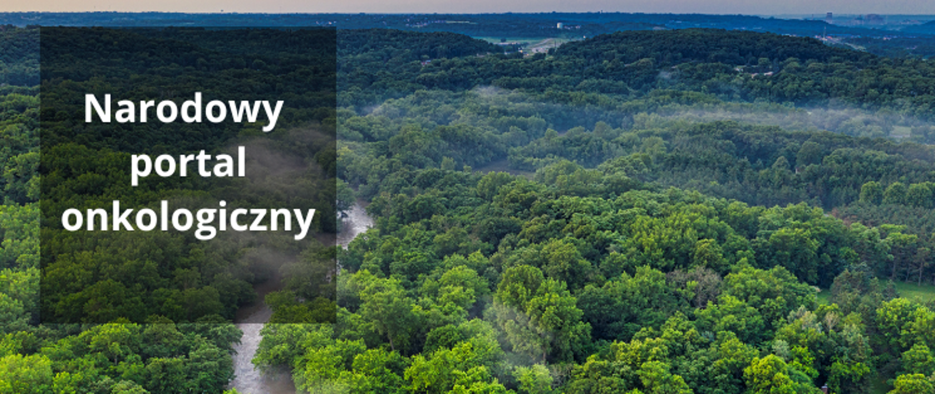 portal onkologiczny