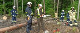 Zdjęcie wykonano na zrębie w lesie. W centrum widzimy obalonego świerka. Strażak z piłą oraz instruktor dokonują szkolenia z obsługi pilarki. Po lewej i prawej stronie stoją uczestnicy szkolenia ubrani w ubranie specjalne oraz hełmy. 