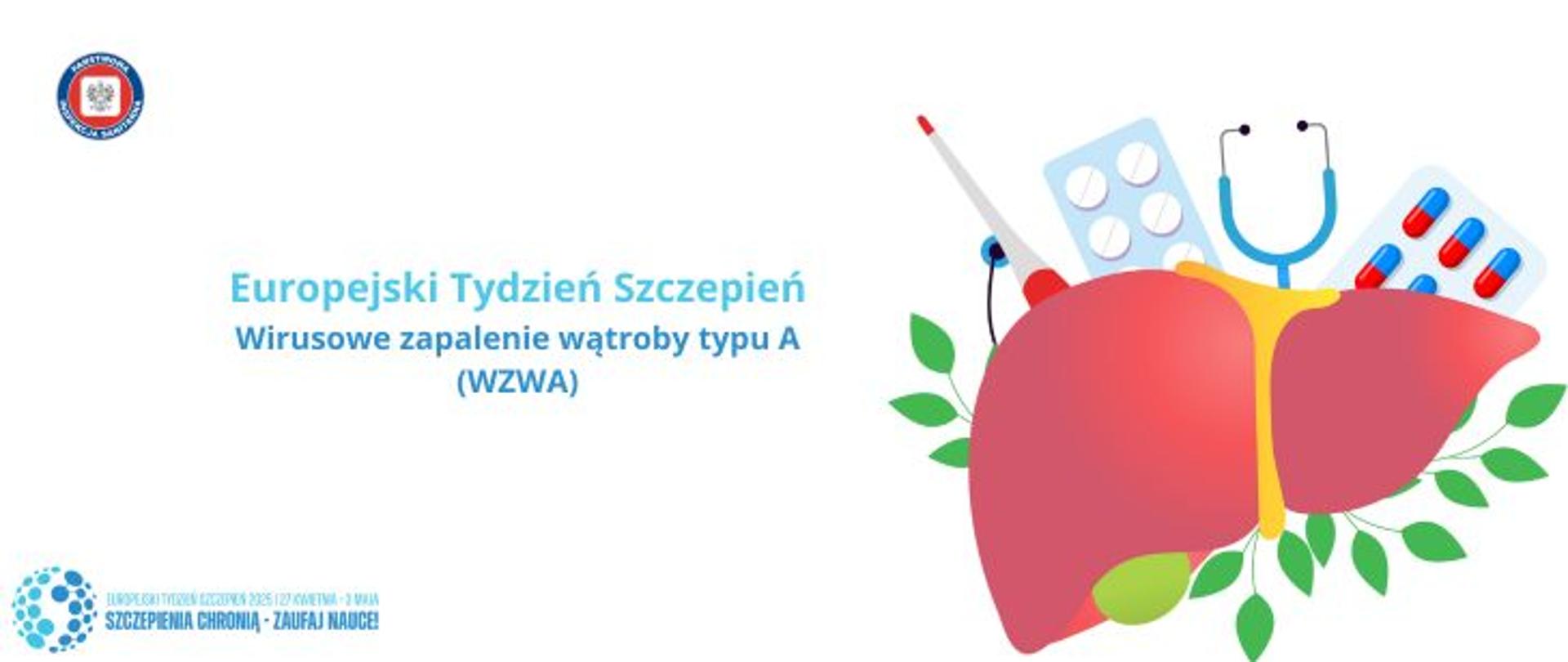 Na jasnym tle po prawej grafika przedstawiająca bordowo czerwoną wątrobę z żółtymi przewodami żółciowymi. Wokół wątroby blistry tabletek, stetoskop, termometr oraz zielone liście. Po lewej napis w odcieniach koloru niebieskiego Europejski Tydzień Szczepień. Wirusowe zapalenie wątroby typu A (WZWA). w lewym dolnym rogu logo Europejskiego Tygodnia Szczepień 2025. W lewym górnym rogu okrągłe logo Państwowej Inspekcji Sanitarnej przedstawiające czarnego orła na białym kwadratowym tle, które otoczone jest czerwonym wypełnieniem. Zewnętrzną część logo otacza granatowy okrąg z napisem Państwowa Inspekcja Sanitarna w kolorze białym.