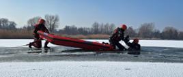 Zdjęcie przedstawia dwóch strażaków, którzy w ramach ćwiczeń, przy wykorzystaniu sań lodowych wydostają z zamarzniętego zbiornika wodnego osobom poszkodowaną.