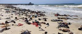 plaża pełna śmieci i tego co zostało wyrzucone z wody na plaże