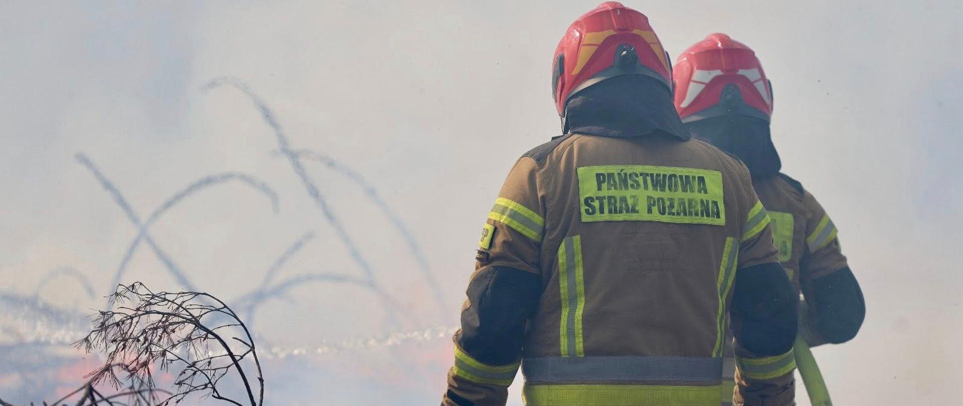 Na pierwszym planie widocznych jest dwóch strażaków w pełnym ekwipunku, odwróconych plecami do kamery. Mają na sobie charakterystyczne mundury i czerwone hełmy. Na plecach jednego z nich umieszczony jest napis "Państwowa Straż Pożarna".
W tle widać zasłonę dymu oraz gałęzie drzew, co sugeruje, że strażacy gaszą pożar w terenie leśnym lub naturalnym. Strażacy trzymają węże strażackie, zajmując się tłumieniem ognia.
Atmosfera zdjęcia jest dynamiczna, pełna napięcia i determinacji, co oddaje charakter akcji ratunkowej. Widoczne jest skupienie i odpowiedzialność związana z wykonywaniem ich pracy.
