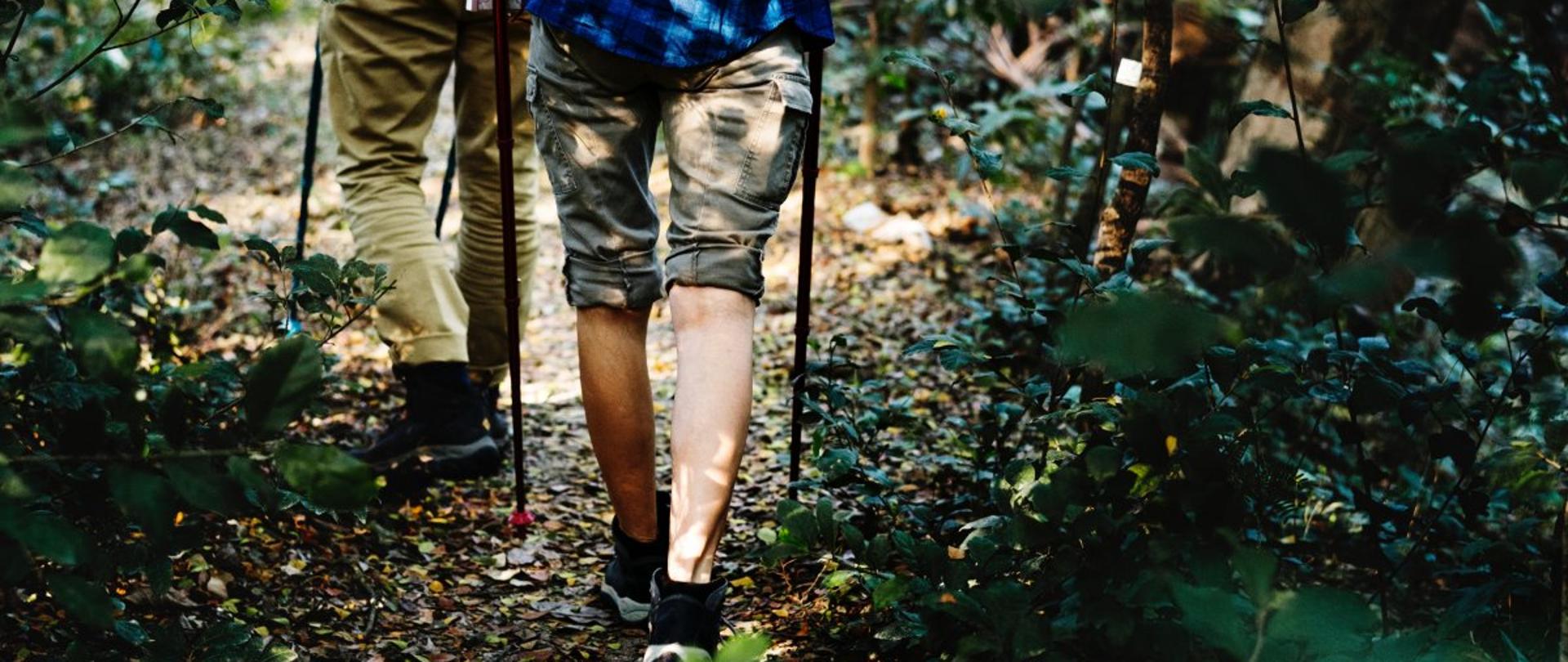 Spotkanie z przedstawicielami organizacji przewodnickich