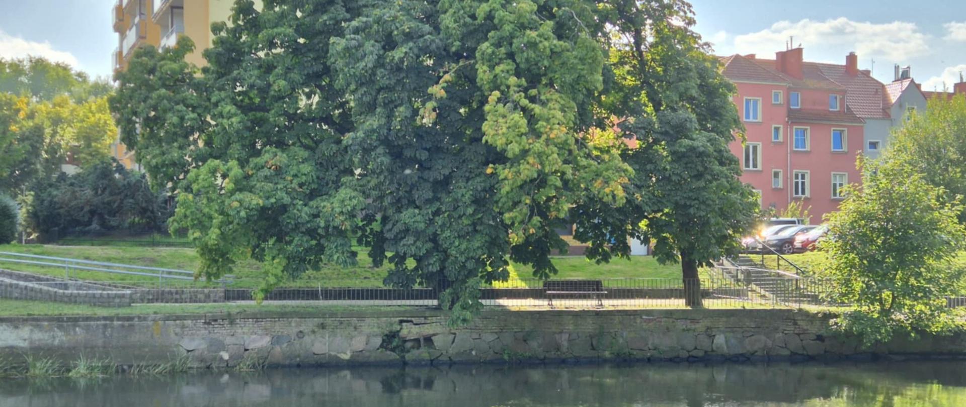 
Bulwar Kołobrzeg nowe 1