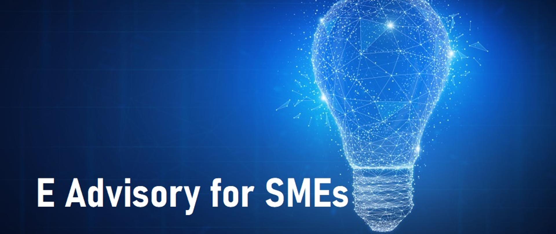Lightbulb image with title E Advisory for SMEs
