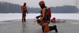 Ćwiczenia mikołowskich strażaków z zakresu ratownictwa lodowego na stawie Starganiec
